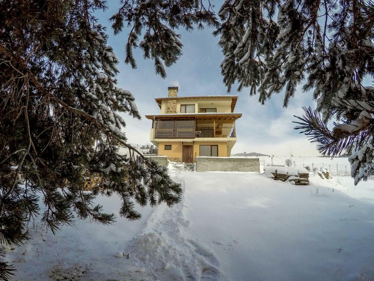 Divna Guest House Dospat Exterior photo
